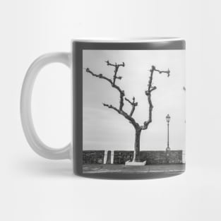 Torri del Benaco Waterfront Mug